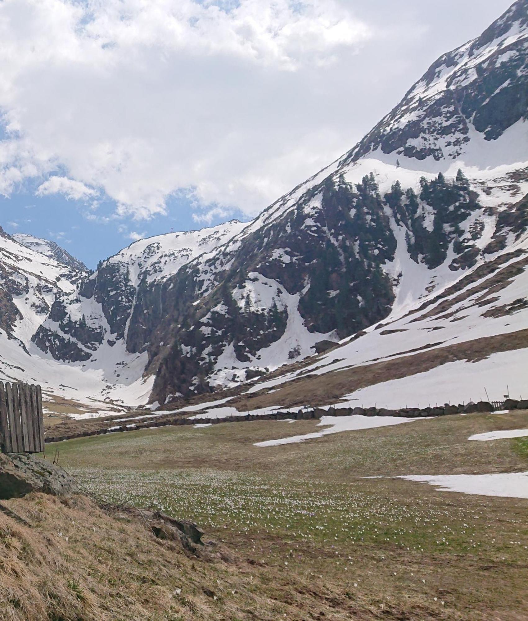 Landhaus Susanne Neustift im Stubaital Buitenkant foto